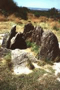 maison%20de%20vivianept.GIF